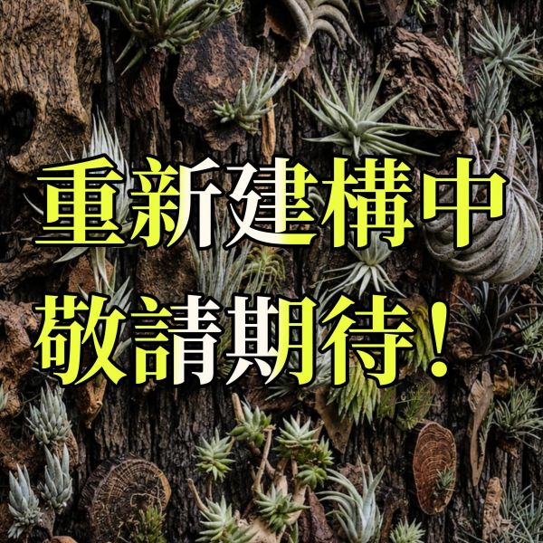 重新建構中~敬請期待！ 