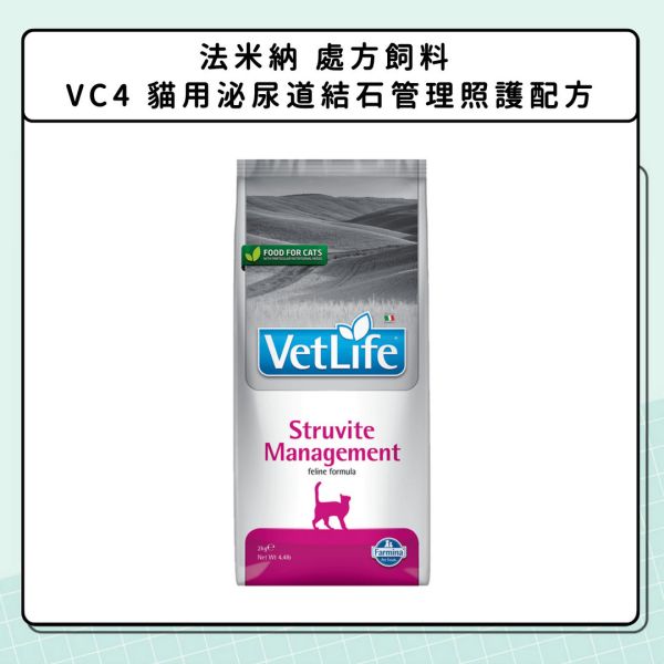 泌尿問題-貓咪篇 
