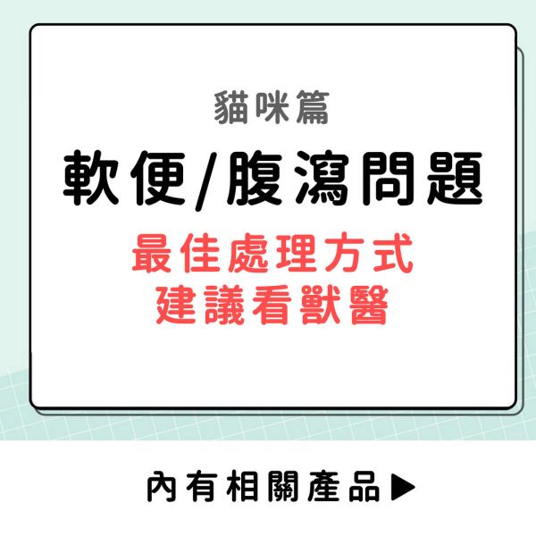 軟便/腹瀉問題-貓咪篇 