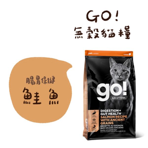 私訊LINE領促銷價｜GO! 貓咪天然糧 16B(7.2KG) 