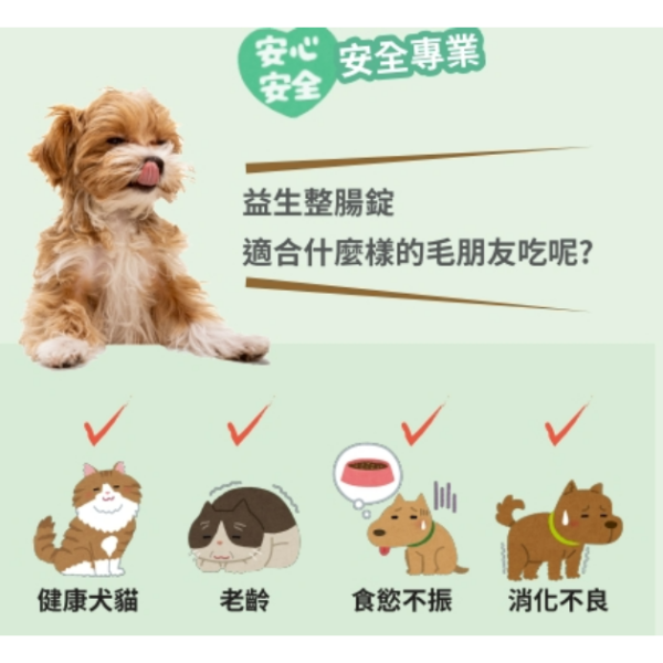 私訊LINE領促銷價 | 日本 共立製藥  益生整腸錠 (居家常備 腸胃保健) 