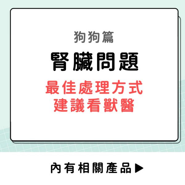 腎臟問題-狗狗篇 