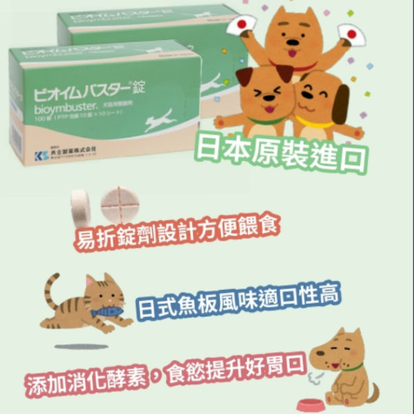 私訊LINE領促銷價 | 日本 共立製藥  益生整腸錠 (居家常備 腸胃保健) 