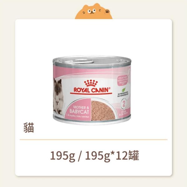 【法國皇家】貓咪 一般罐頭系列 BC34W 離乳貓與母貓 