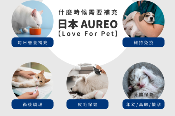 日本 AUREO 黑酵母口服液(藍) 6ml*30包*4盒 15ml*30包*4盒 