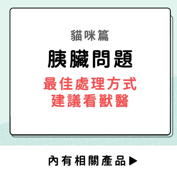 胰臟問題-貓咪篇 
