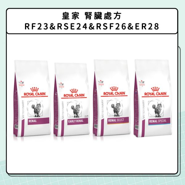 腎臟問題-貓咪篇 