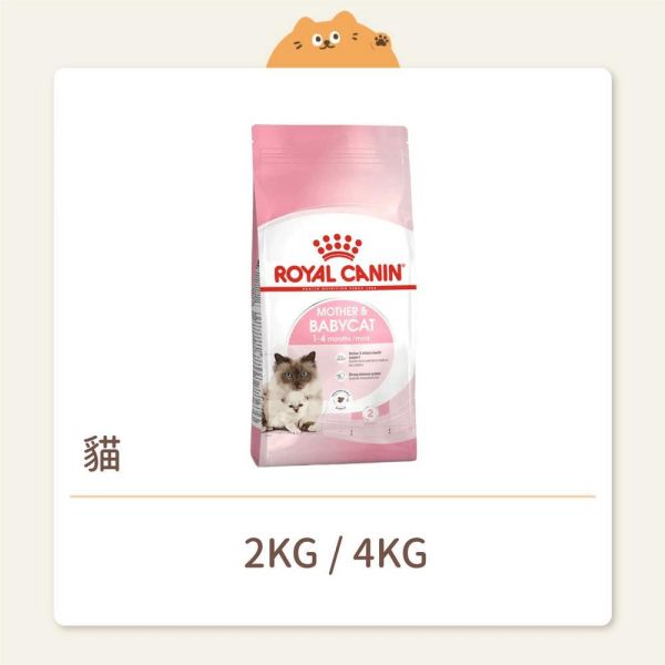 【法國皇家】貓咪 一般飼料 基本系列 BC34 離乳貓與母貓 