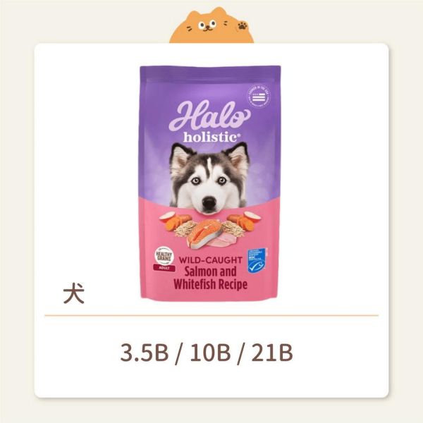 【HALO嘿囉】狗狗 無穀飼料 健康糙米 成犬野生鮭魚燉白魚 