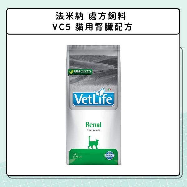 腎臟問題-貓咪篇 