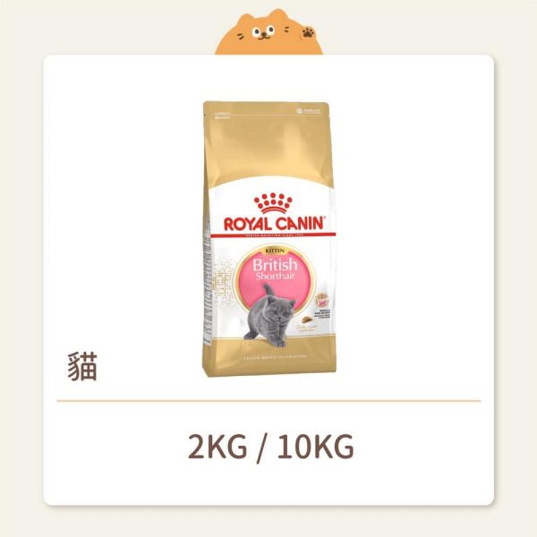 【法國皇家】貓咪 一般飼料 品種系列 BSK38 英國短毛幼貓 