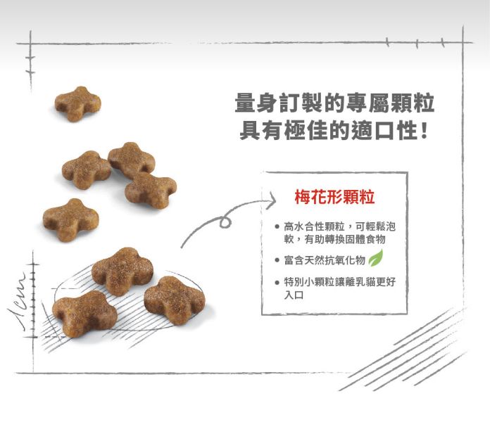法國皇家 BC34 離乳貓與母貓專用乾糧 2kg / 4kg 