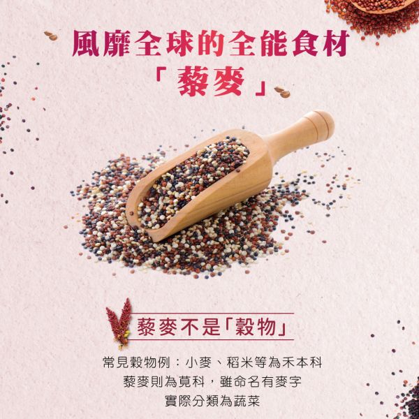 私訊LINE領促銷價｜法米納 貓 QC1 腸胃道保健-羊肉茴香 