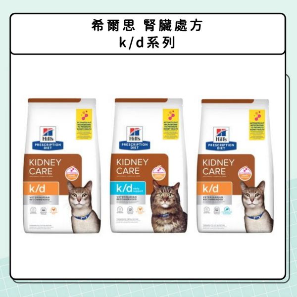 腎臟問題-貓咪篇 