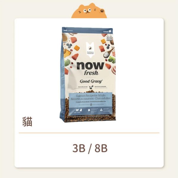 【NOW】貓咪 高湯無穀天然糧 高湯天然糧 成貓 無穀鮭魚 