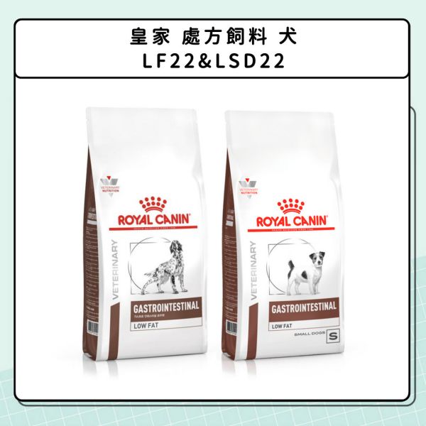 胰臟問題-狗狗篇 