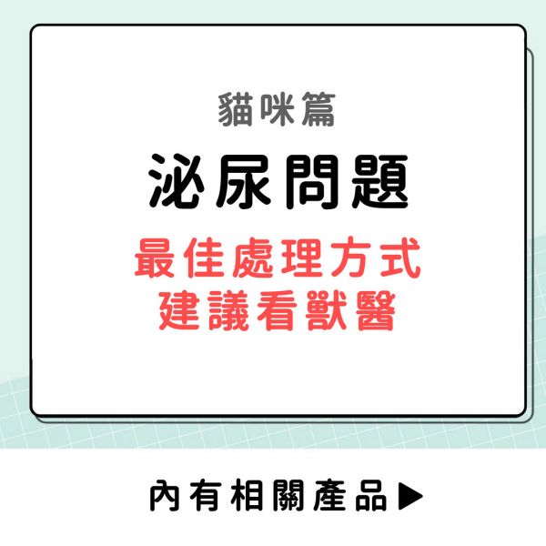 泌尿問題-貓咪篇 