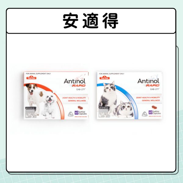 關節問題 