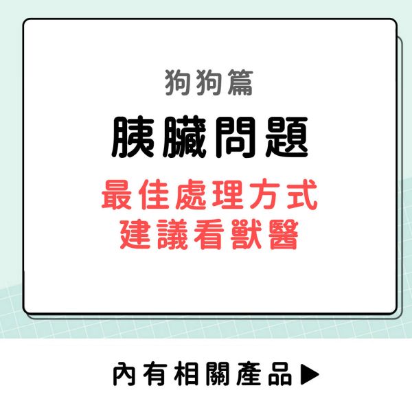 胰臟問題-狗狗篇 