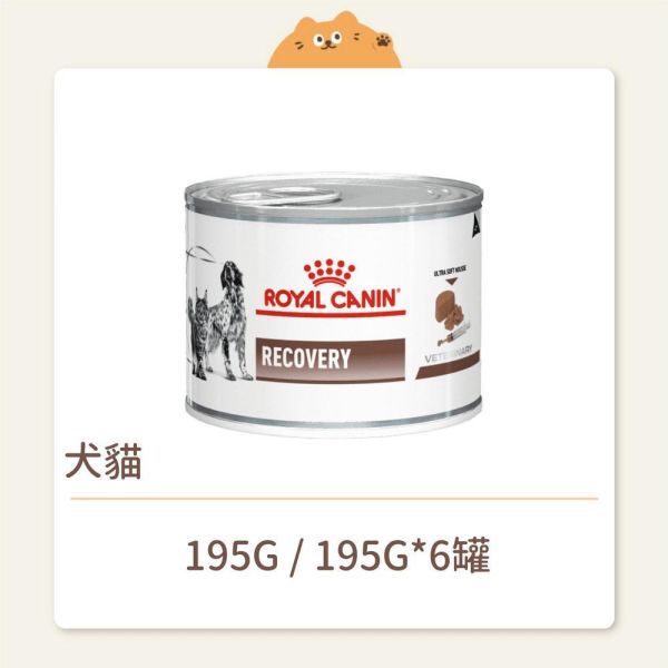 【法國皇家】貓咪 處方罐頭 犬貓用恢復用營養補給配方 