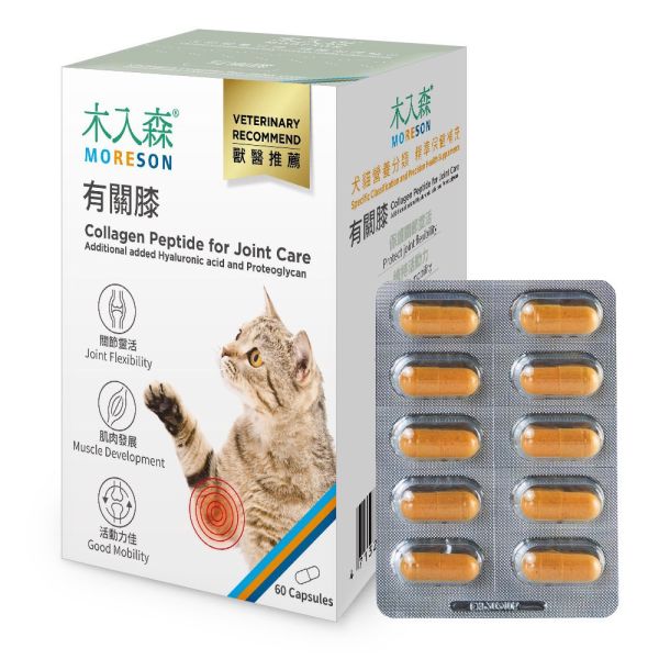 會員賣場 | 木入森 貓咪有關膝 貓咪關節保健食品 30顆/60顆 