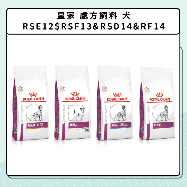 腎臟問題-狗狗篇 
