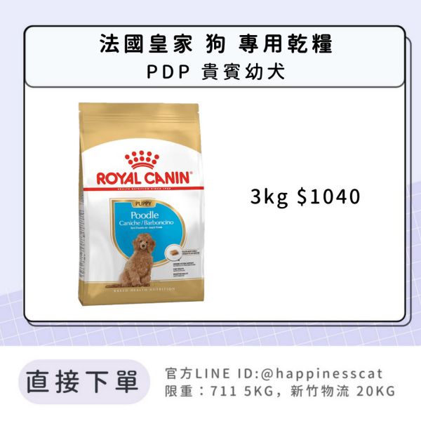 法國皇家 PDP 貴賓幼犬 3kg 