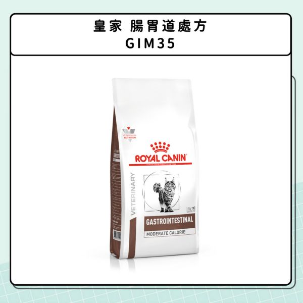 胰臟問題-貓咪篇 