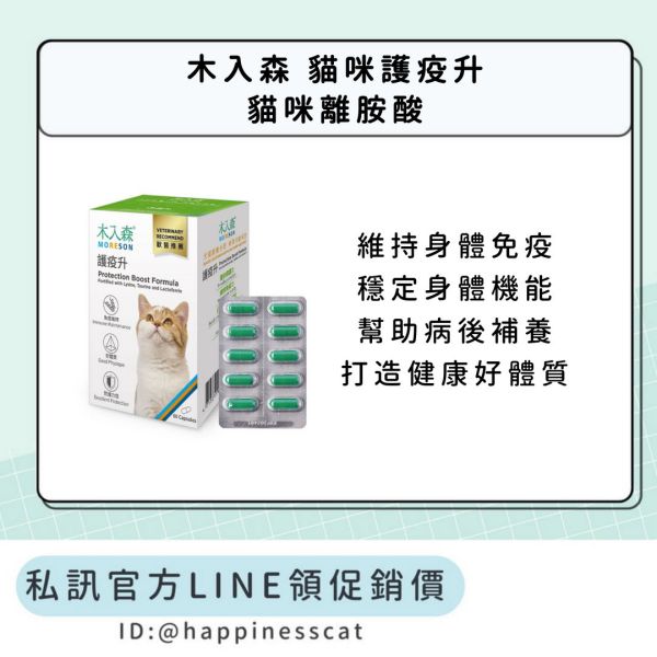 私訊LINE領促銷價｜木入森 貓咪護疫升 貓咪離胺酸 30顆/60顆 