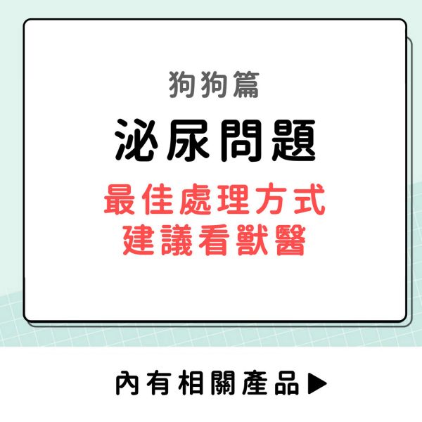 泌尿問題-狗狗篇 