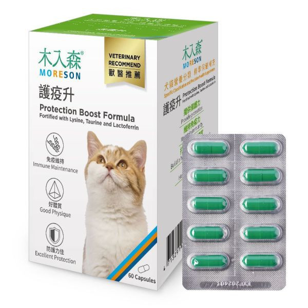 私訊LINE領促銷價｜木入森 貓咪護疫升 貓咪離胺酸 30顆/60顆 