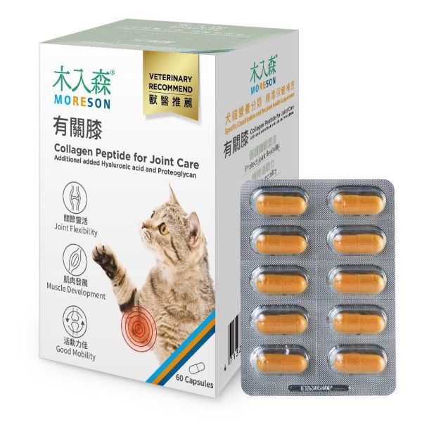 私訊LINE領促銷價｜木入森 貓咪有關膝 貓咪關節保健食品 30顆/60顆 