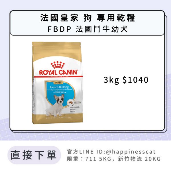 法國皇家 FBDP 法國鬥牛幼犬 3kg 