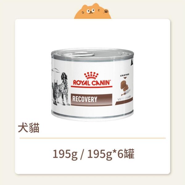 【法國皇家】貓咪 處方罐頭 犬貓用恢復用營養補給配方 