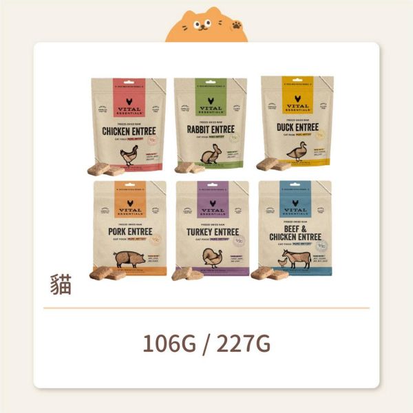 【VE凍乾】貓咪 迷你方塊排 