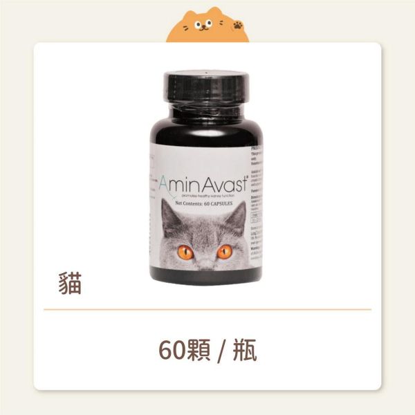 【 AminAvast】保健品 胺腎 貓或小型犬用慢性腎衰竭營養補充 