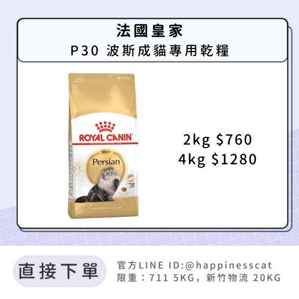 法國皇家 P30 波斯成貓 2kg 4kg 