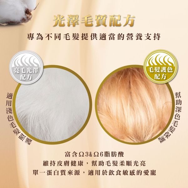 私訊LINE領促銷價｜法米納 犬 HD01 全齡犬-鱸魚茴香 