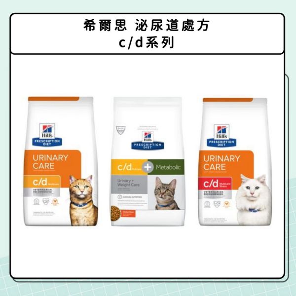泌尿問題-貓咪篇 