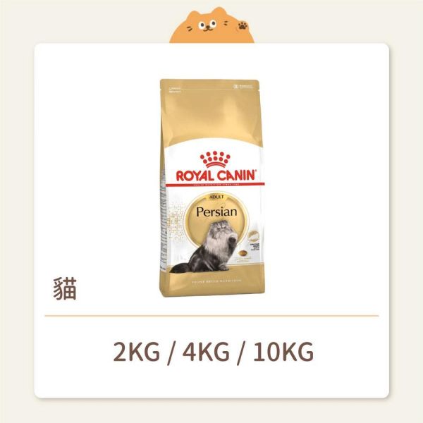【法國皇家】貓咪 一般飼料 品種系列 P30 波斯成貓 