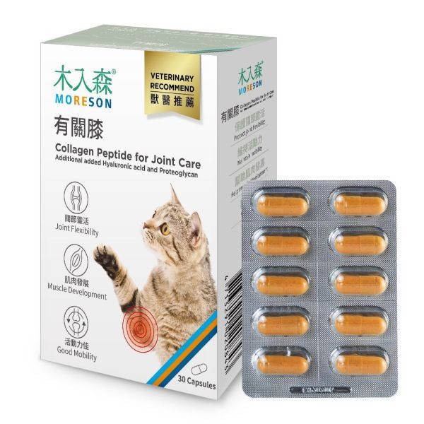 私訊LINE領促銷價｜木入森 貓咪有關膝 貓咪關節保健食品 30顆/60顆 