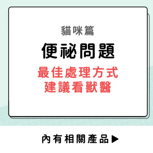 便祕問題-貓咪篇 