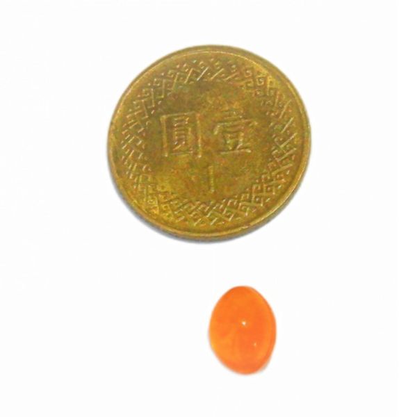 私訊LINE領促銷價 | 日本 共立製藥  貝節益(膠囊) (添加魚油) 