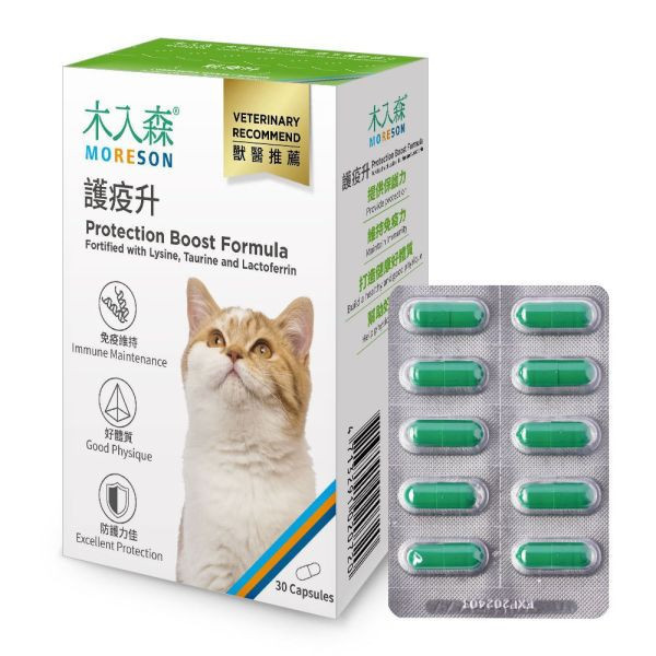 私訊LINE領促銷價｜木入森 貓咪護疫升 貓咪離胺酸 30顆/60顆 