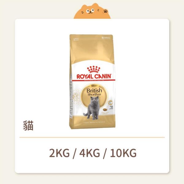 【法國皇家】貓咪 一般飼料 品種系列 BS34 英國短毛成貓 