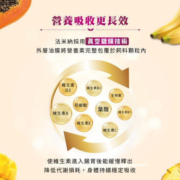 【法米納】貓咪 一般飼料 有穀水果 FTC0 幼貓 羊肉木瓜 