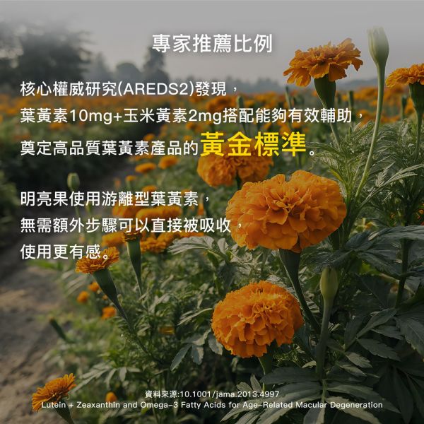 明亮果EX三倍濃縮 明亮果,葉黃素