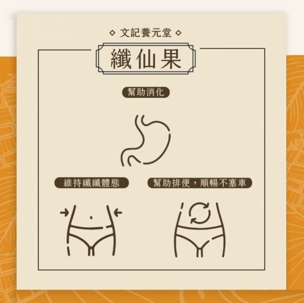 纖仙果 3入組 消化,酵素,乳酸菌,益生菌