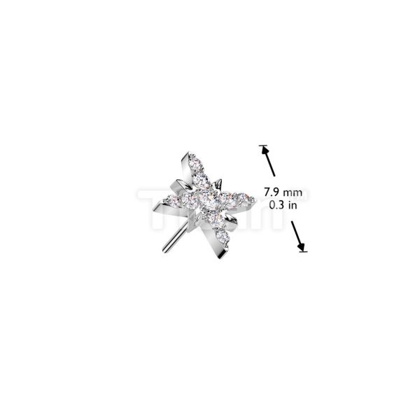 24K PVD-滿鑽閃耀 40en歐美耳飾,歐美耳環,14K耳環,不過敏耳環,歐美風格,14k純金,輕奢耳飾,鈦金屬,鈦合金