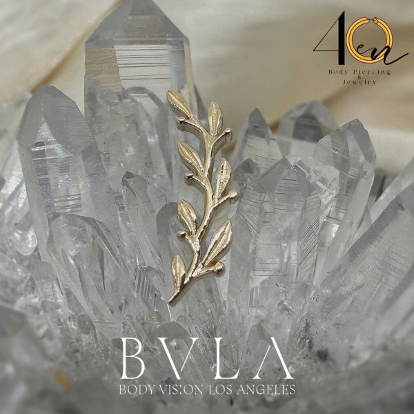 客訂BVLA - Amity(大) 40en歐美耳飾,歐美耳環,14K耳環,不過敏耳環,歐美風格,14k純金,輕奢耳飾,鈦金屬,鈦合金